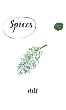 Sulu Boya Demet taze, yeşil dereotu