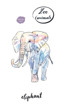 Suluboya Afrika fili