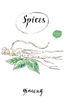 Sulu boya taze ginseng kök