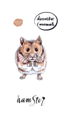 Sulu boya küçük oturma hamster kaldırdı yastıkları ile