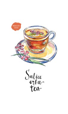 Glass cup of salice erba tea (willow-herb tea) in watercolor clipart