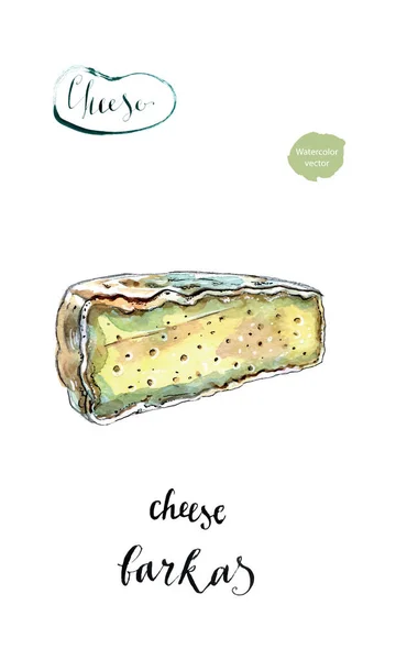Peça aquarela de queijo francês Barkas (Bergkas ) —  Vetores de Stock