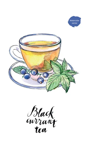 水彩玻璃杯黑穗醋栗茶 — 图库矢量图片