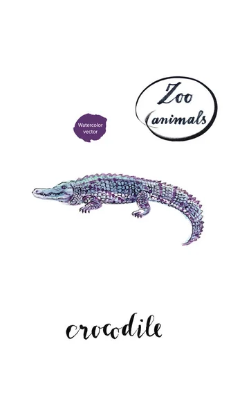 Aquarell Krokodil, Alligator — Stockvektor