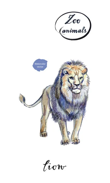 Retrato de un gran león poderoso permaneciendo en acuarela — Archivo Imágenes Vectoriales