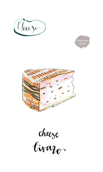 Pedaço de aquarela de queijo francês Livaro (Livarot ) —  Vetores de Stock