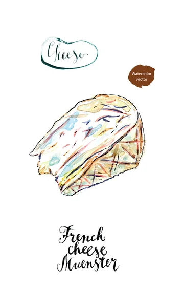 水彩片法国奶酪明斯特 — 图库矢量图片