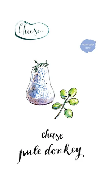 Aquarelle fromage maison Pule âne — Image vectorielle