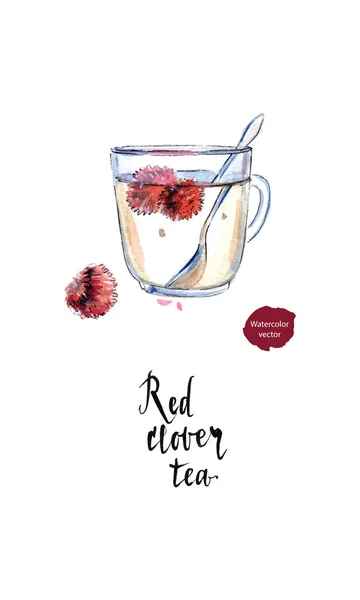 Czerwona koniczyna kwiat herbata w kubku szkła z łyżeczką, w akwareli — Wektor stockowy