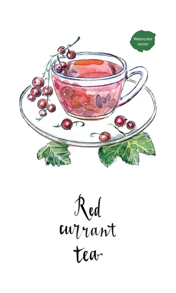 Glas Tasse rote Johannisbeere mit frischen Beeren und grünen Blättern — Stockvektor