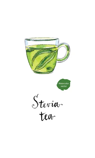 Tisana ecologica in tazza di vetro con foglie di stevia in waterco — Vettoriale Stock