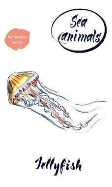 Sarı ışık denizanası, suluboya el çizimi vektör çizimi