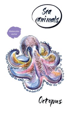 Ahtapot, suluboya elle çizilmiş, vektör çizim