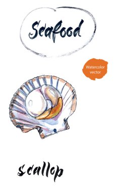 Tarak, suluboya elle çizilmiş, vektör çizim