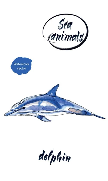 蓝色海豚，水彩手绘，矢量插图 — 图库矢量图片