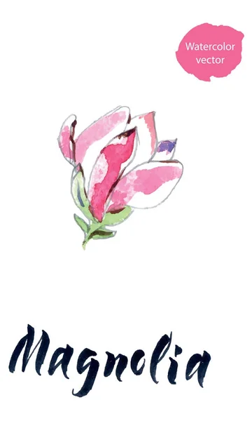 Květina šácholan, kreslené ručičky, vektorová ilustrace — Stockový vektor