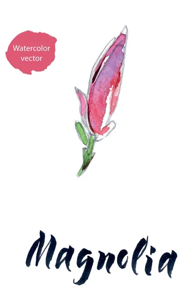 Flor de magnólia, aquarela desenhada à mão, ilustração vetorial — Vetor de Stock