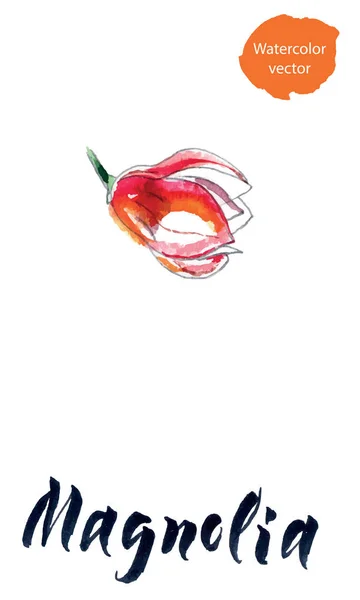 Fleur de magnolia, aquarelle dessinée à la main, illustration vectorielle — Image vectorielle