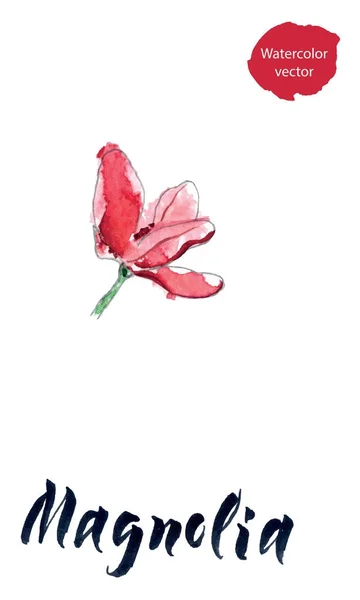 Virág a magnólia, akvarell kézzel rajzolt, vektoros illusztráció — Stock Vector