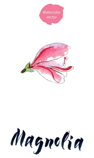 Virág a magnólia, akvarell kézzel rajzolt, vektoros illusztráció — Stock Vector