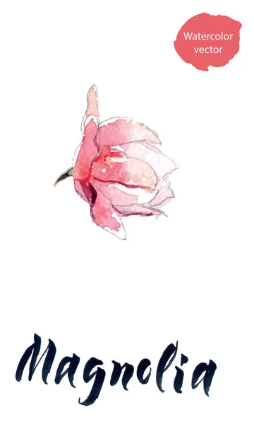 Λουλούδι της μανόλια, υδατογραφήσεις χειρός, απεικόνιση διανύσματος — Διανυσματικό Αρχείο