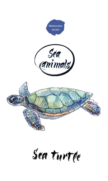Tartaruga marinha, aquarela desenhada à mão, ilustração vetorial — Vetor de Stock