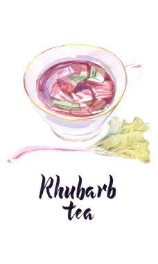 Bir fincan ravent çayının suluboya çizimi, vektör illüstrasyonu