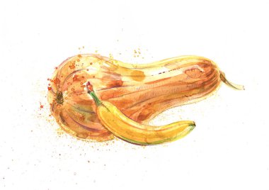 Suluboya çizimi, muz ve kabak, balkabağı