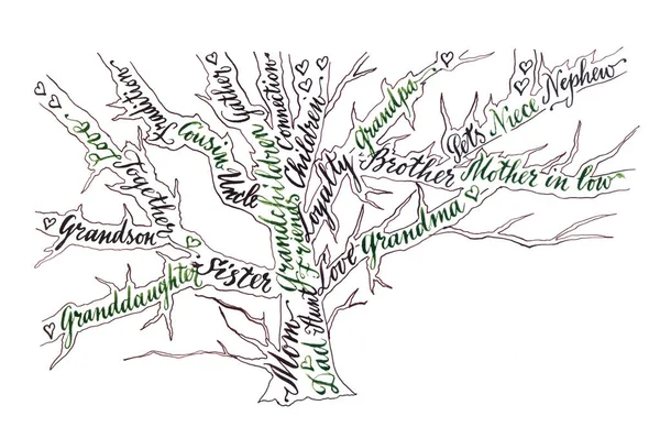 Handritad Kalligrafi Familjeträd Grön Svart Färg — Stockfoto