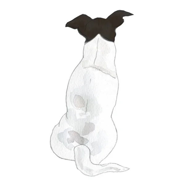 Akvarel Ilustrace Jack Russel Plemeno Psa — Stock fotografie