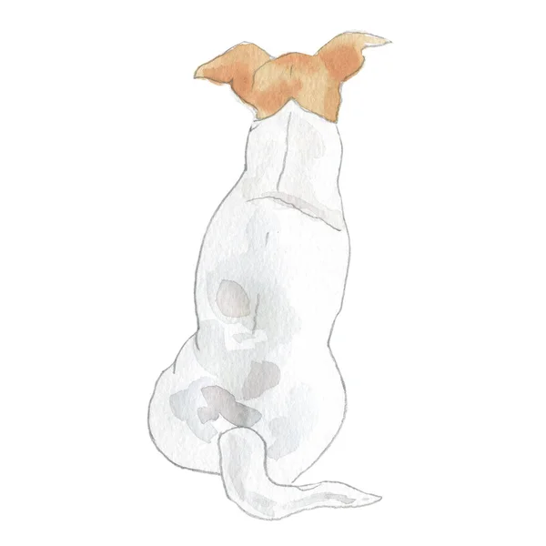 Watercolor Illustration Jack Russel Breed Dog — Stock Photo, Image