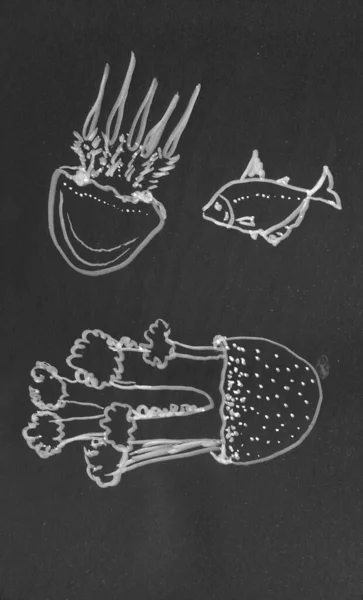 Siyah Arkaplanda Fırça Kalemle Çizilmiş Yazısı Denizanası — Stok fotoğraf