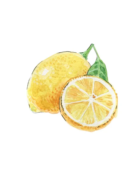 Watercolor Illustration Two Yellow Lemons Whole Cut — Stock Photo, Image