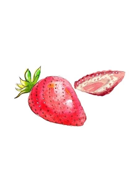 Aquarell Illustration Zwei Rote Erdbeeren Ganz Und Geschnitten — Stockfoto