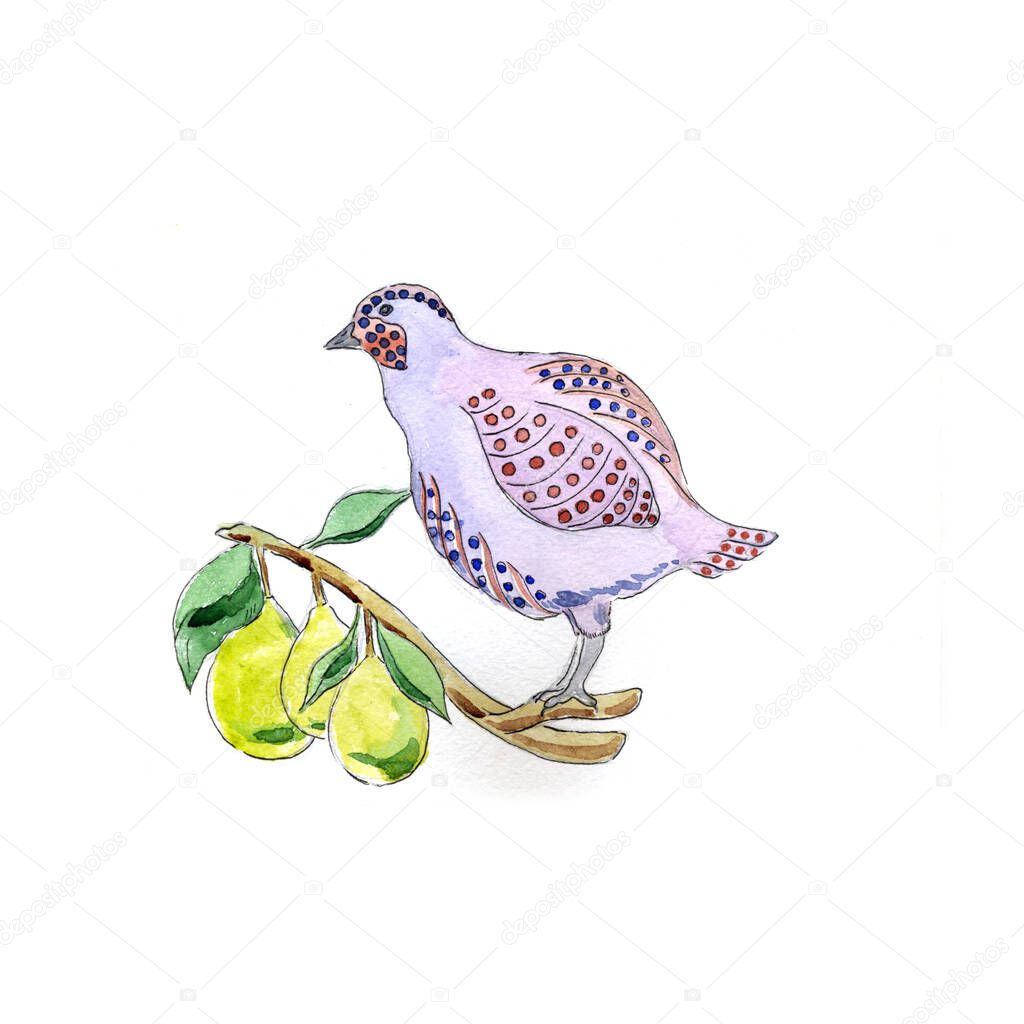 Watercolor illustration, Partridge in Pear Tree for 12 Days of Christmas Charms