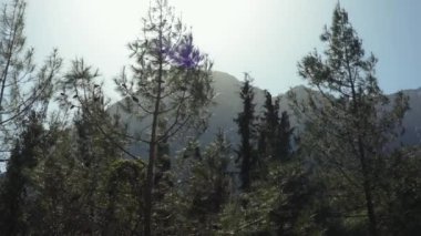 Türkiye 'de dağ manzarası, Lycian tarzı