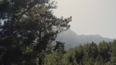 Türkiye 'de dağ manzarası, Lycian tarzı