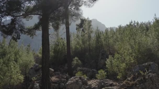 Vista dall'alto delle montagne in Turchia, Via Licia — Video Stock