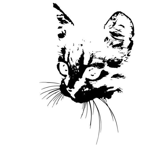 Beyaz bir arka plan üzerinde siyah kedi. vektör çizim