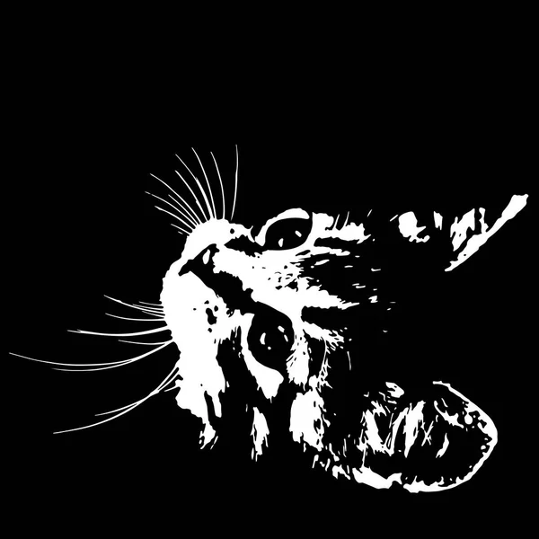 Sylwetka kota na czarnym tle. Ilustracja wektorowa — Wektor stockowy