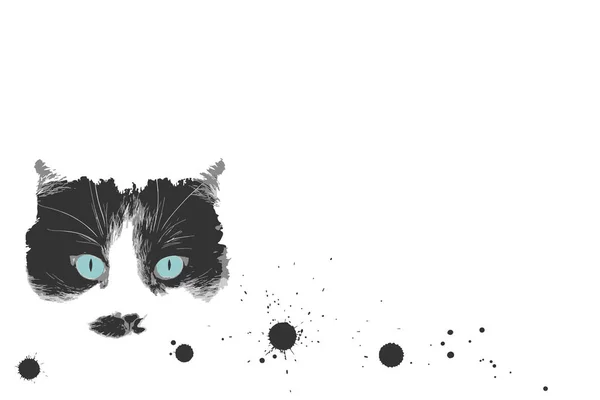 Kedi suratlı beyaz bir arka plan. Mürekkep lekeleri. Mavi gözlü siyah beyaz kedi. Vektör illüstrasyonu