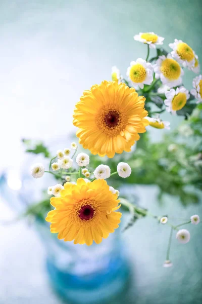 Sarı bahar çiçekleri — Stok fotoğraf