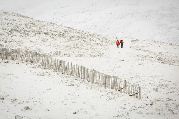 Winter Snow Walkers — Stock Photo, Image