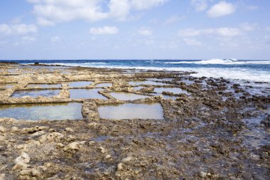 Tuz tava Marascala Gozo Malta
