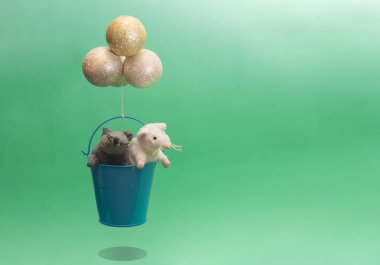 Oyuncak fareler balon gibi kovayla gezerler.