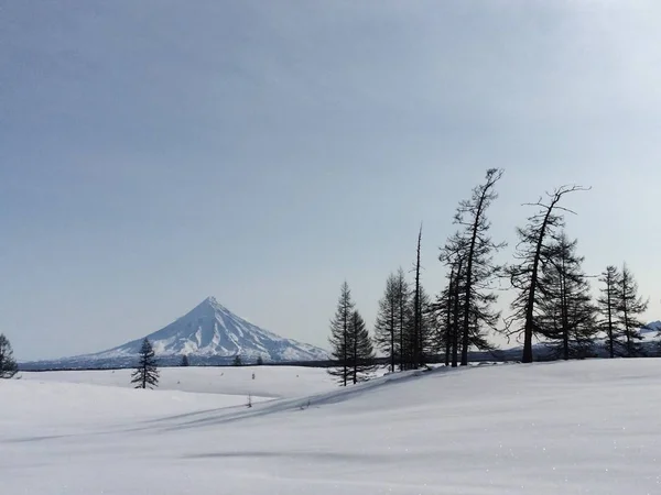 Schneefeld und Vulkan — Stockfoto