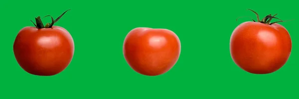 Три помидора - помидор на хрома ключ зеленый — стоковое фото