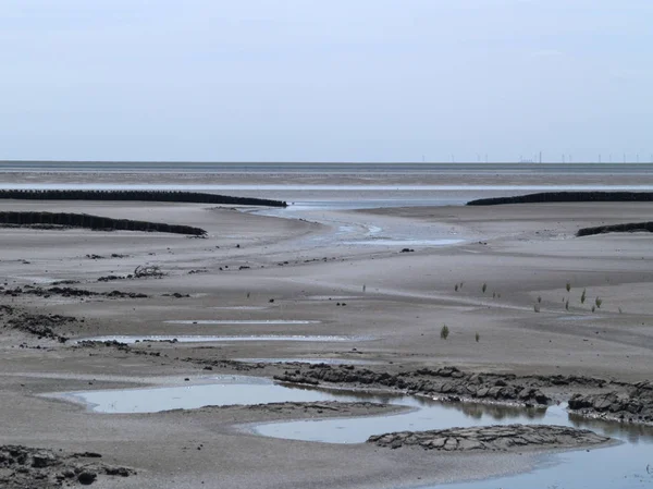 North Sea ebb tide — Stock Photo, Image