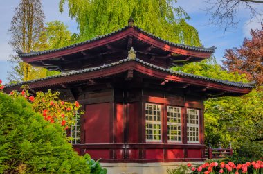 Siyah arka planda tıbbi ilaçlar.