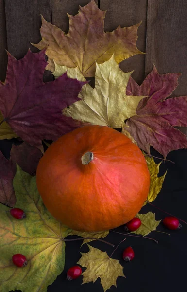 Automne citrouille fond avec des feuilles colorées sur planche en bois — Photo